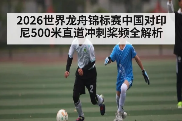 2026世界龙舟锦标赛中国对印尼500米直道冲刺桨频全解析